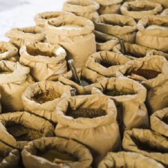 Air Purifiers for Food