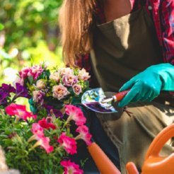Air Purifiers for Flowers and Plants