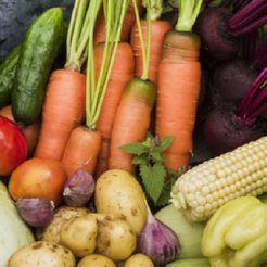Fruit and Vegetable Air Purifiers