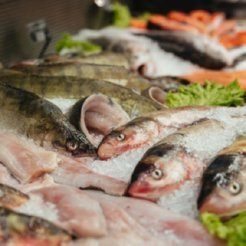 Air Purifiers for Fishmongers