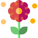 Élimination du pollen