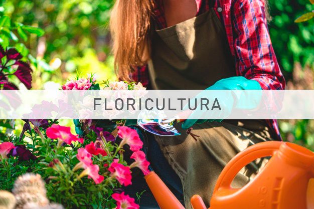 Impagen para Sector floricultura