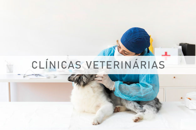 Imagem para veterinário