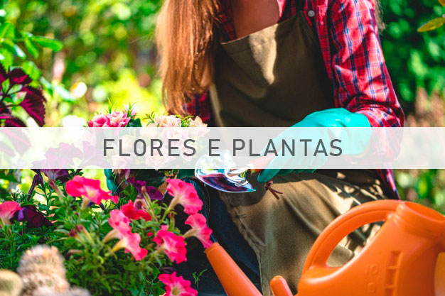 Impacto para o setor de floricultura 